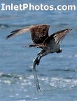 InletPhotos.com